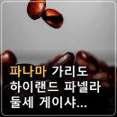 파나마 가리도 하이랜드 파넬라 둘세 게이샤 워시드 커피원두 FAQ 이미지