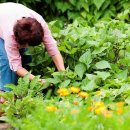 하수농장 이미지