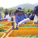 홍성수농장 이미지