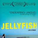 젤리피쉬 이미지
