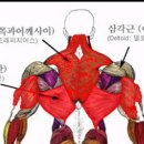 바디토크짐 이미지
