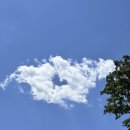 스테이 오월 이미지