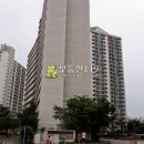 목련로153번길 Daum카페