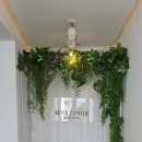 미스티크 이미지