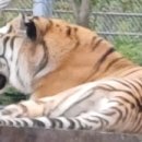 꽃뱅이정원 이미지