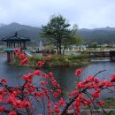 죽동체육공원 이미지