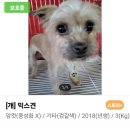 부산진구-11 이미지