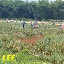 상상농장2 이미지