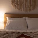 판포리 135 이미지