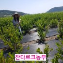 팔팔농장 이미지