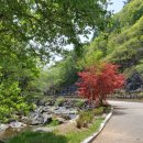 항골계곡 이미지