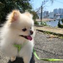 성미유치원(유치원) 이미지