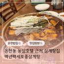안동돌판찜닭&백세삼계탕 | 온천장밥집 백년백세토종삼계탕 닭한마리 간장찜닭 먹어요