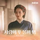 보라정오