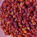 산딸기 - 김해시 번화1로68번길 19 | 산딸기