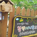 번암초등학교 이미지