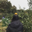 시즌 인 더 클로젯 | [인더클로젯]롱패딩_넘나따숩