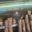 현진2농장 이미지