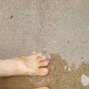 구산초등학교구서분교장 이미지