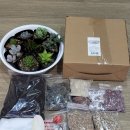 이든테라피 이미지