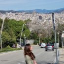 반일코스 | 바르셀로나 여행 필수 코스! 가우디투어 반일 종일 코스 선택 꿀팁 (내돈내산 후기포함)