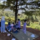 나무와새어린이집 이미지