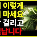 머위 이렇게 절대 먹지 마세요! 맹독입니다. 머위의 효능 부작용ㅣ 이미지