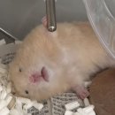 해장 해장국 이미지