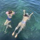 골프기초반 | 올해 마지막 수영 수업을 마치고.. feat. 7개월차 수영 후기