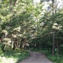 영장1리 이미지