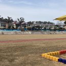 팔금초등학교 이미지