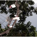 삼덕동주민센터 이미지