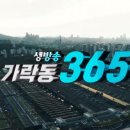 선경청과 - 9095 | 선경청과