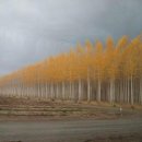 알찬농장 이미지