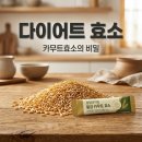 다이어트하는 사람들이 카무트효소 먹는 이유 3가지와 솔직 후기