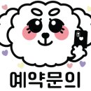 지나펫살롱 이미지