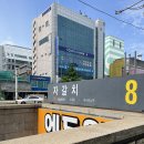 황금숙녀복 이미지