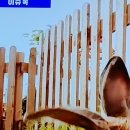 신화광고산업 이미지