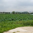 관곡지약국 이미지