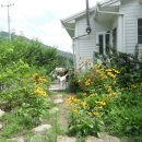 경남용추민박 이미지