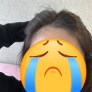 아송헤어 이미지