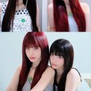 리즈컬러 이미지