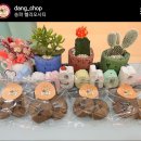 댕댕찹찹 이미지