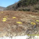 토비농장 이미지