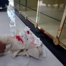 시흥누리병원장례식장