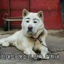 DK멀티짐