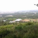 제주 올라 이미지