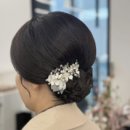 아나봄 펫살롱 | 메이크업 업체 비교 및 견적공유 | 벨로나, 아티디(오화유), 윤쌀롱, 주니엠, 마벨꾸띠끄, 브러쉬앤꼬리빗