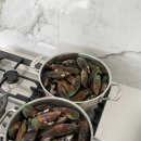 둥지카센타 | 오클랜드 서쪽 무리와이비치 가넷(Gannet) 서식지, 파라카이 팜 스프링 (Hot Pool), 초록입홍합