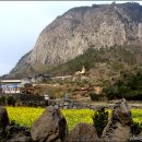 지에스(GS)25제주화순 이미지